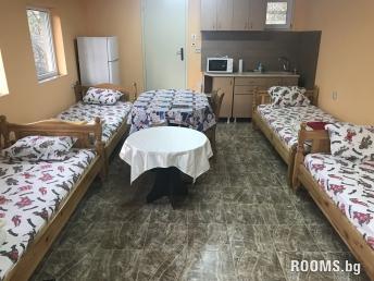 Студия под диким орехом, Пловдив, снимка