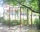Villa / house Ralitza, Ahtopol, снимка 5