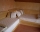 Accommodation / room Velis, Velingrad, снимка 2