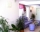 Family House Astarta, Lozenets, снимка 5