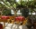 Family House Saint Nikola, Sozopol, снимка 5