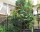 Guest house Gerovi, Nesebar, снимка 2