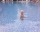 Apartments Kameliq Garden, Sunny Beach, снимка 4