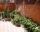 Guest House Red House, Nesebar, снимка 5