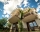 гостиница The Poolhouse, Свети Влас, снимка 9