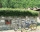 Villa / house Klimasha, Ribaritsa, снимка 11