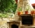 Accommodation / room Velis, Velingrad, снимка 10