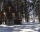 Villa / house Malina, Borovets, снимка 1