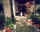 Family House House Diana, Kiten, снимка 2