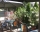 Family House Karastoyanovi, Chernomorets, снимка 2