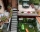 Accommodation / room Mariana, Velingrad, снимка 10