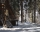 Villa / house Malina, Borovets, снимка 4