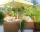 Guest House Relax, Kranevo, снимка 8