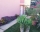 Guest House Relax, Kranevo, снимка 14