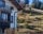 Guest House Maneva, Stoykite, снимка 2