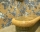 Hotel Aqua Viva, Velingrad, снимка 10