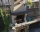 Rooms for rent Danyo-Samokov, Samokov, снимка 8